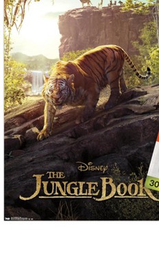 clear push pins bundle