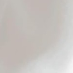 06 - ivory