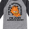 Boys' - Garfield - Always Right Raglan Graphic T-Shirt - 2 of 4