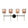 LNC Echonalyri  Polished Gold and Matte Black Modern/Contemporary  Wall Lights,Smoked Textured Glass Shade,1 Light/2 Light/3 Light/4 Light - 3 of 4