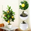 2Pcs Artificial Potted Plants, 20 inches Artificial Lemon Tree, Faux Lemon Citrus Tree with Pot Indoor for Home Office Table Desk - 2 of 4
