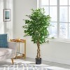 TopComfy Artificial Trees 150cm Artificial Ficus Tree Compact Ficus Tree Fake Ficus Plant Small Artificial Tree for Home, Green, 31.5"*31.5"*59" - 2 of 4