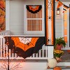 Spider Web Large Bunting 61"x32" - 4 of 4