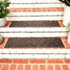 The Lakeside Collection Wipe Your Paw Set of 2 Stair Treads or Doormat - 4 of 4