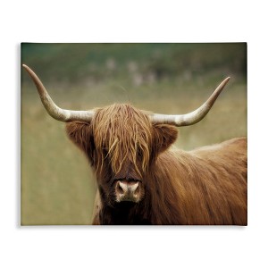Stupell Industries Highland Cattle Shaggy Hair Country Animal Portrait Photography Canvas Art, 30" x 24" - 1 of 4