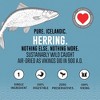 Icelandic+ Whole Fish Herring - 1oz Bag - Cat Treats, Pure Wild-Caught - 4 of 4