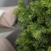 DR.Planzen 3-5FT Artificial Cedar Tree Indoor/Outdoor UV protection Pre Potted Fake Tree for Decor, Perfect Housewarming Gift 1Pack - 3 of 4