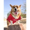 NCAA Ohio State Buckeyes Pets Mesh Jersey - 4 of 4