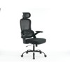 SKRAN Ergonomic Mesh Office Chair, High Back Desk Chair with 3D Armrests, Up&Down Lumbar Support,Swivel Task Chair with Adjustable 2D Headrest,Black - 4 of 4
