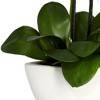 Nearly Natural Phalaenopsis Silk Flower Arrangement - image 3 of 3