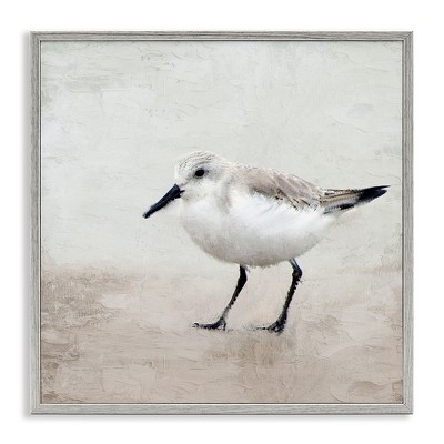 Stupell Industries Lone Sandpiper Bird Portrait, 17" x 17"