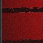 new england patriots