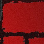 new england patriots