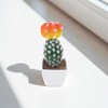 Unique Bargains Artificial Plants Mushroom-Top Cactus in Pot Plastic 3.03"x3.03"x7.87" 1 Pcs - 2 of 4