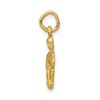 Black Bow Jewelry 14k Yellow Gold Aquarius the Water Bearer Zodiac Satin & Diamond Charm - 2 of 4