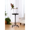 Prevue Pet Products Small Round Playstand for Birds with Black Metal Tray and Wooden Perch 3185. - 2 of 3