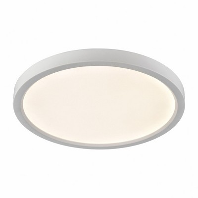 White Frosted Glass LED Flush Mount Ceiling Light
