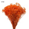 Unique Bargains Natural Dried Baby's Breath Flowers Branches for Wedding Party Decoration Orange 2 Pcs - 3 of 4
