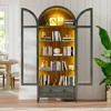Fredees 73" Tall Arched Display Cabinet, 4-Tier Curio Cabinet with 3-Color LED Lights and Human Sensor, Adjustable Shelf for Toys & Books - 4 of 4