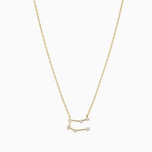 Bearfruit Jewelry Constellation Necklace - 12 Zodiac Constellation - 1 of 4