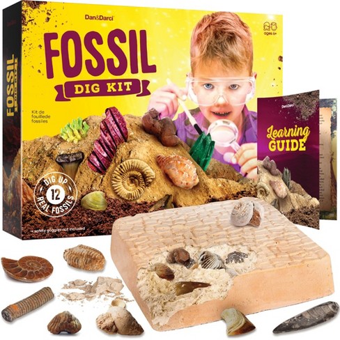 Fossil dig toy online