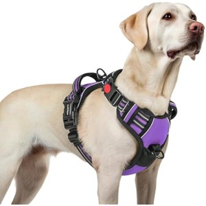 rabbitgoo Dog Harness for Large, No Pull Pet Harness with Handle, Walking Reflective Pet Vest for Large Dogs, Purple, L - 1 of 1
