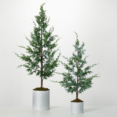 38"H & 54"H Sullivans Artificial Potted Cypress Christmas Tree Set of 2, Green, Indoor Christmas Decor