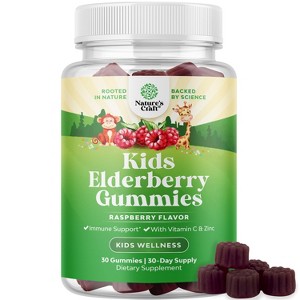Kids Elderberry Gummies with Zinc & Vitamin C, Daily Immune Support Gummies for Children, Raspberry Flavor, Nature's Craft - 1 of 4