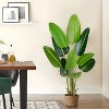 Tree City 5 Ft Artificial Bird of Paradise Plant–Fake Tropical Palm Tree with Pot,Realistic Faux Banana Leaf Plant for Indoor&Outdoor Decor - 2 of 4
