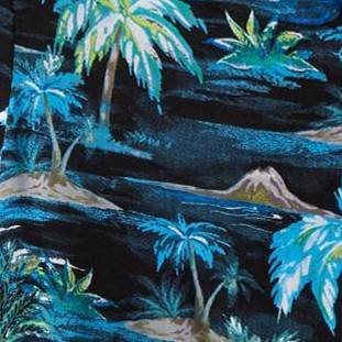 black palm
