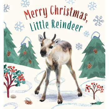 Merry Christmas, Little Reindeer - (Baby Animal Tales) by  Amanda Wood (Board Book)