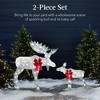 Best Choice Products 2-Piece Moose Family Lighted Christmas Yard Décor Set w/ 170 LED Lights, Stakes, Zip Ties - 2 of 4