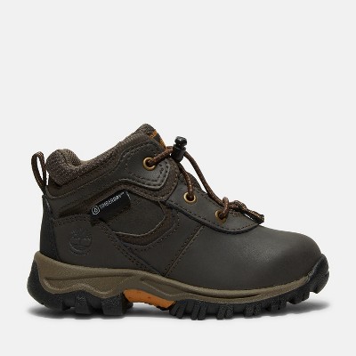 Timberland Toddler Mt. Maddsen Waterproof Hiking Boots, Dark Brown Full-Grain, 6