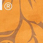 university of tennessee