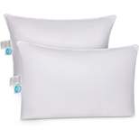 East Coast Bedding 2 Pack Luxury Goose Down Filled Pillows (Queen Size)