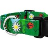 Country Brook Petz Deluxe Dog Collar - Summer Breeze Collection - Made in The U.S.A. - 4 of 4