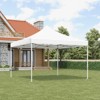 10 x 10 FT Pop Up Canopy Tent, Commercial Grade Instant Canopy, Heavy Duty Canopy Shelter, for Patio, Backyard, Bench, Garden - 3 of 4