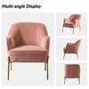 Odo Upholstered Accent Chair Velvet Comfy Living Room  Arm Chair | Karat Home - 4 of 4