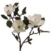 Floral Home 19" White Magnolia Spray - 24-Piece - 2 of 2