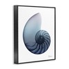 Stupell Industries Contemporary Nautilus Shell, 11" x 14" - 3 of 4