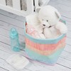 Pavilion Gift Company - Rainbow Stripes - 7.25" x 9" Canvas Basket - Decorative Baskets - 2 of 4