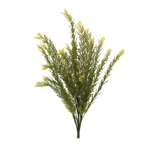 Baby Tears Foliage Bush (Set of 6) - 1 of 3