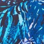 blue leafy palms