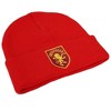 Gryffindor Simple Crest Knit Beanie for Men and Women, Red - 4 of 4