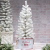 The Lakeside Collection Outdoor Winter Lighted Tinsel Tree - 36" - 2 of 4