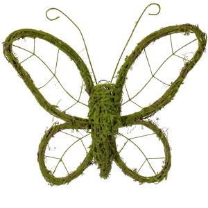 Vickerman 13"H Butterfly Outline Wreath - 1 of 4
