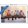 Trends International Reinders: Animals - Pastel Birds Framed Wall Poster Prints White Framed Version 22.375" x 34" - 3 of 4