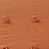 rust