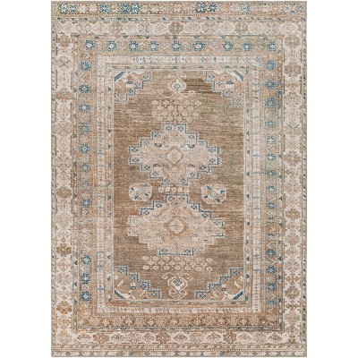 Colin Traditional Machine Washable Rug - Artistic Weavers