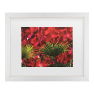 Trademark Fine Art - Kurt Shaffer Palm on Red Matted Framed Art - 1 of 4